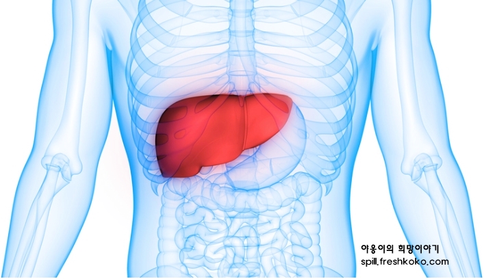 간수치가 높으면 나타나는 증상