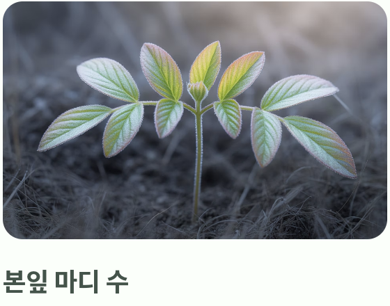 &amp;#39;골든 타임&amp;#39;을 놓치지 마세요! 순지르기 최적 시기