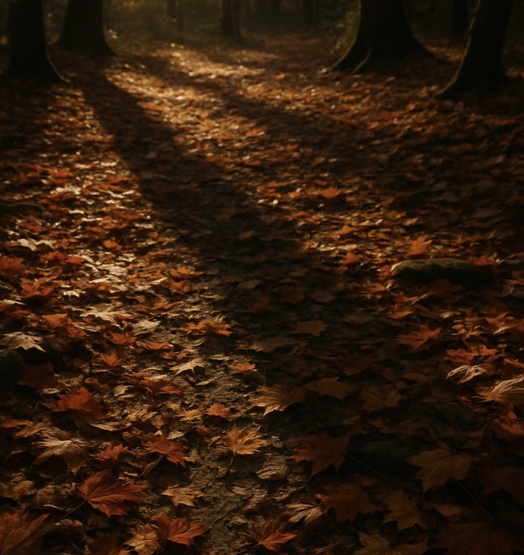 자연 속 보금자리 흉내 내기