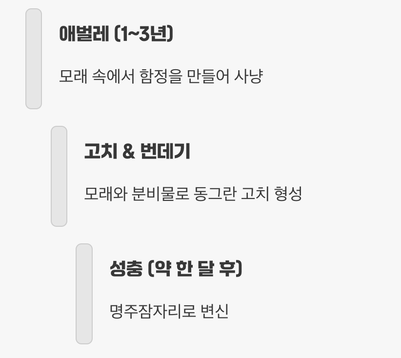 경이로운 변신, '명주잠자리'의 탄생