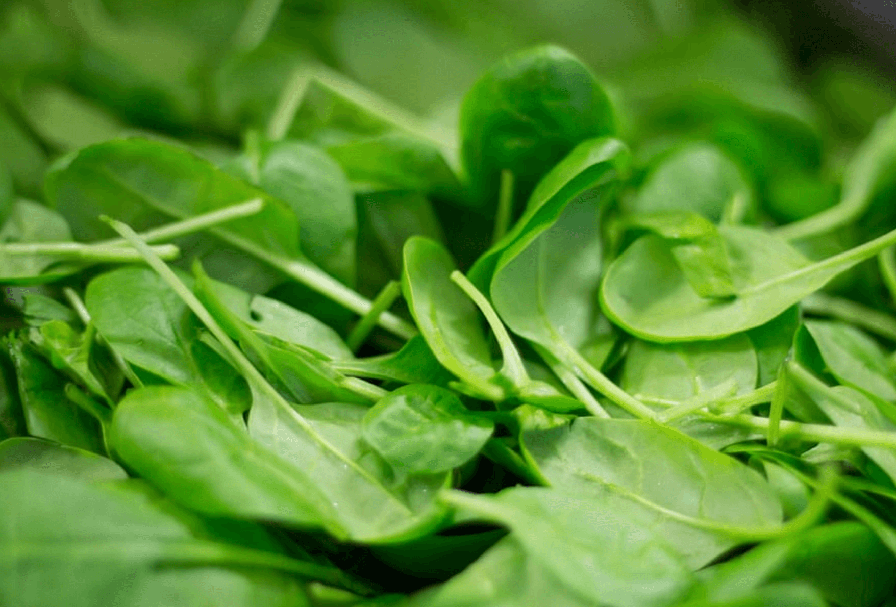 염증에 좋은 음식