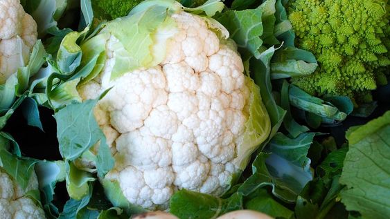 신장에 좋은 음식 만성 신장 통증 증상 질환 환자 좋은음식 나쁜 음식