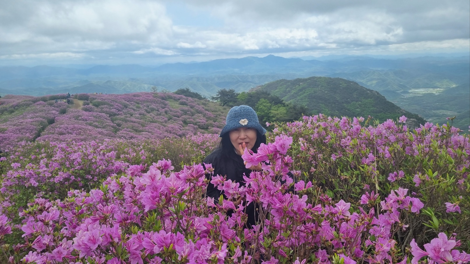 합천 황매산 철쭉12