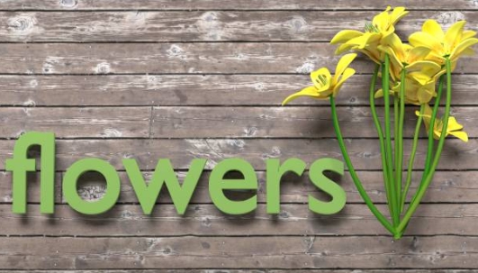 꽃은 향기로 색깔로 아름다움을 전하는 사진