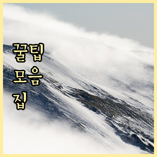재활용쓰레기 품목별 분리: 행당동 배..
