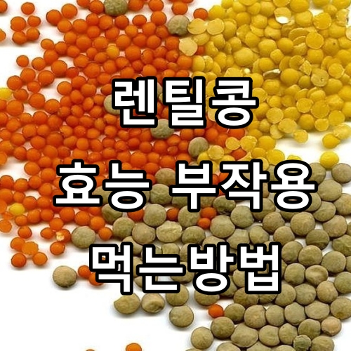 렌틸콩 효능 부작용 먹는방법
