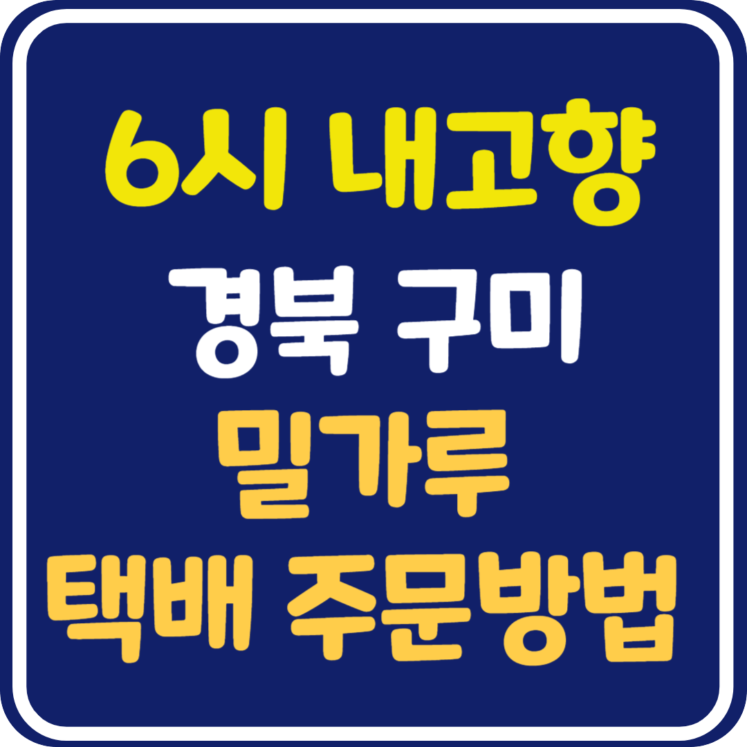 6시 내고향 경북 구미 밀가루 택배 주문 방법