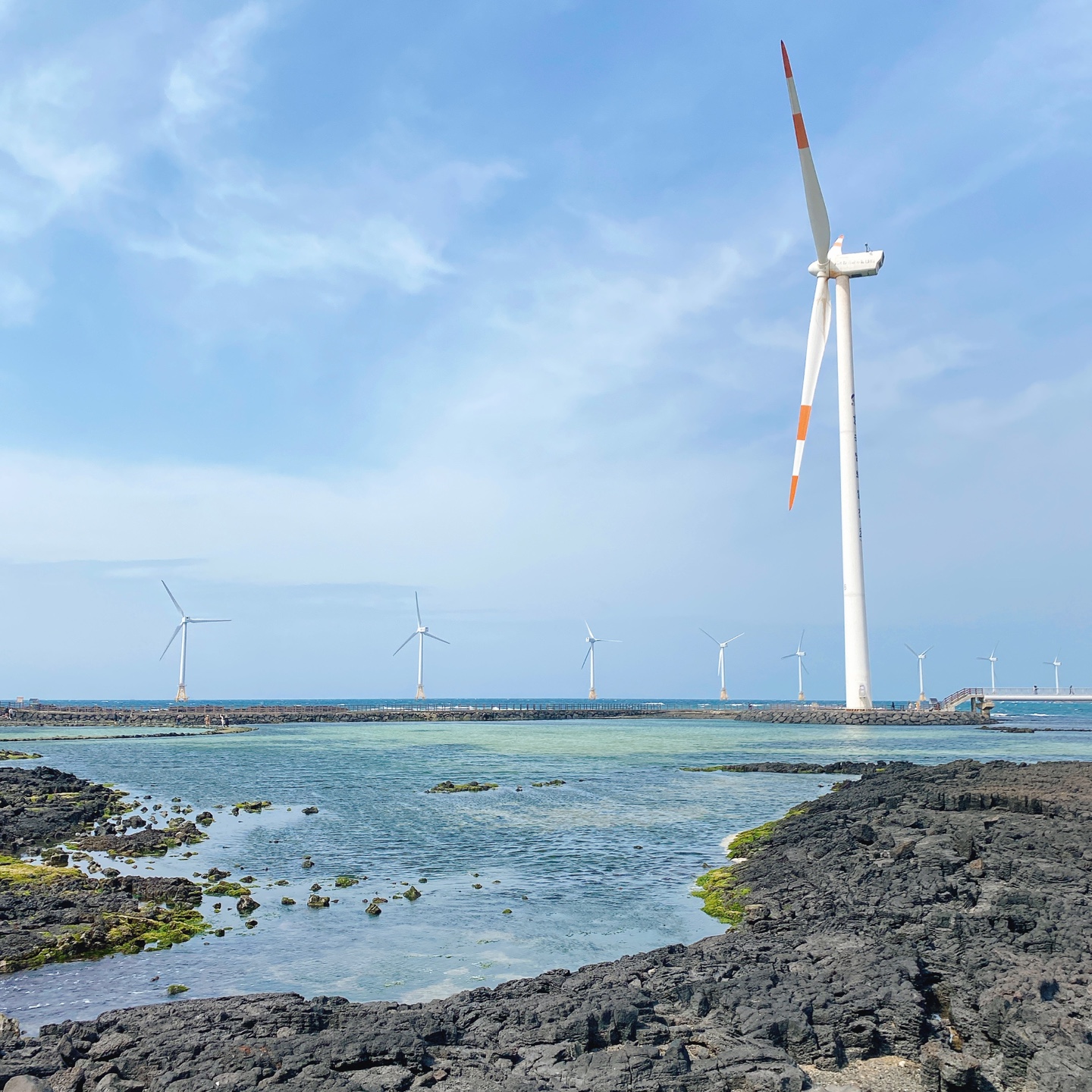 제주 한경 싱계물공원 바다목장 솜사탕 커피 그린구름 카페