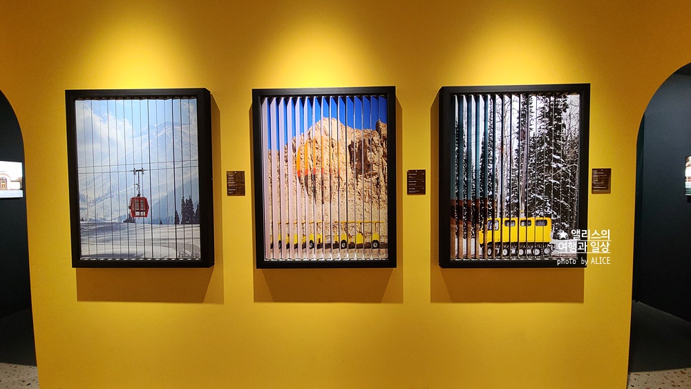 우연히 웨스 앤더슨 전시 추천, 그라운드 시소 성수