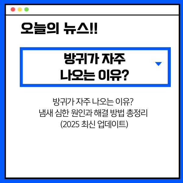 방귀가 자주 나오는 이유? 냄새 심한 원인과 해결 방법 총정리 (2025 최신 업데이트)