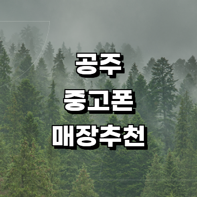 공주시 중고폰