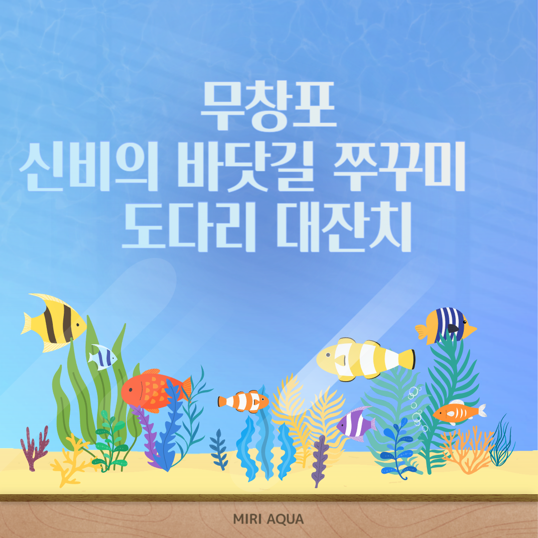 2024 무창포 신비의 바닷길 쭈꾸미&middot;도다리 대잔치 소개