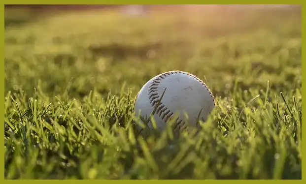 야구 중계방송채널 바로보기 (무료팁)