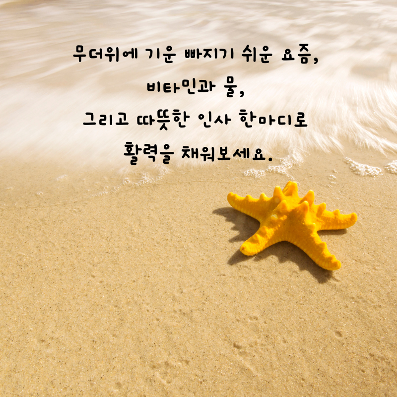 8월 인사말 카톡 문자 메세지 안부 이미지 모음집