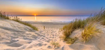 맨발 걷기 좋은 곳