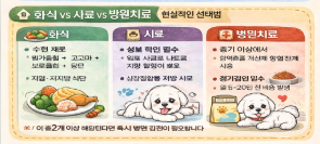 강아지 동맥경화 조기발견,수술치료시 완치 가능 합니다.(초기증상, 화식, 병원비, 혈관석회화 단계별 관리법)