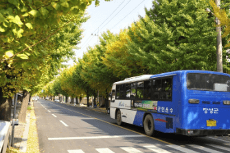 2025 천안시내버스 방학기간 운행 변경 (91번, 92번, 93번, 94번, 95번, 97번, 98번, 99번, 166번, 590번)