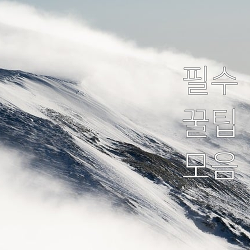 논산시 2025년 보훈명예수당 신청 ..