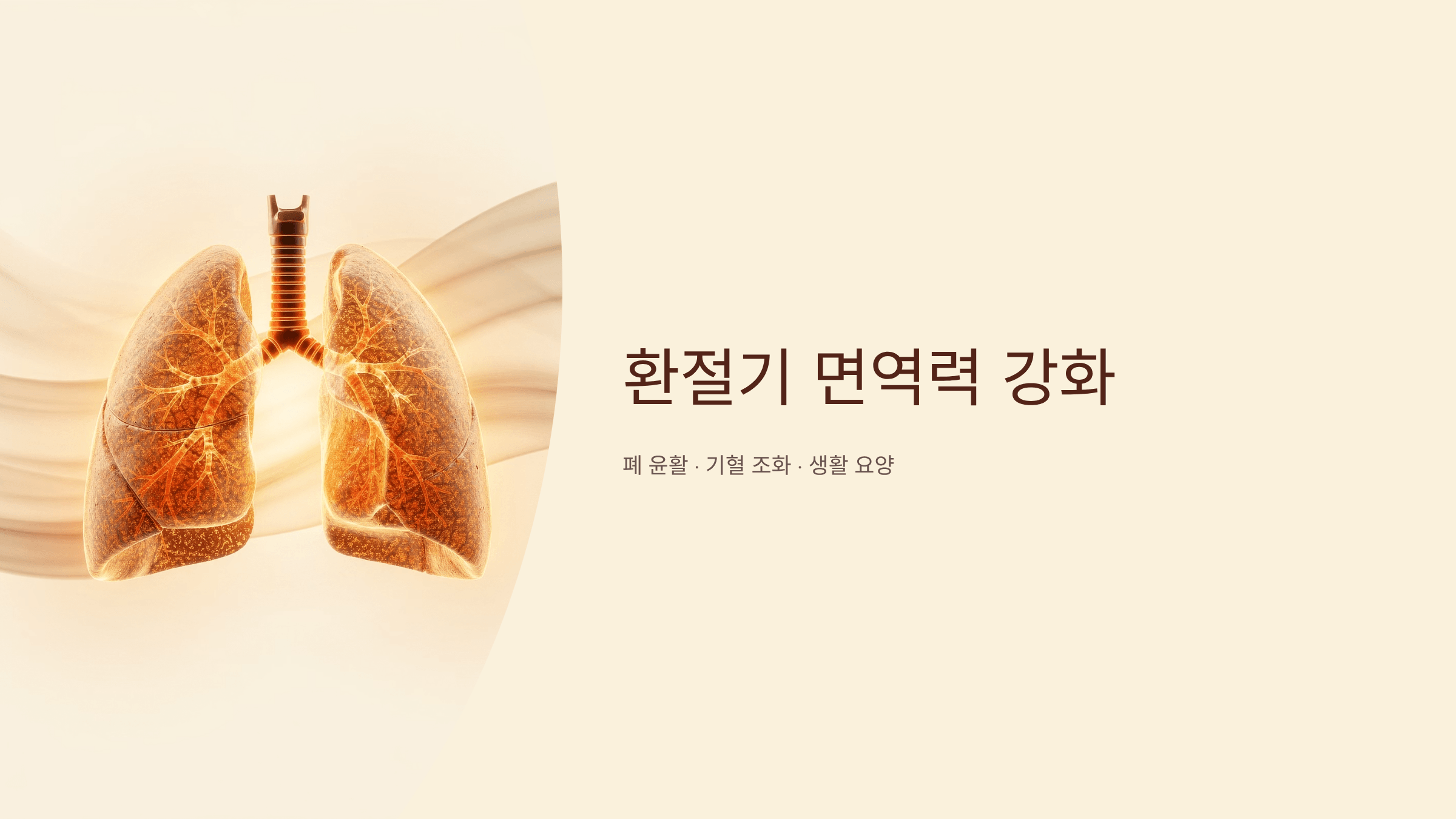환절기 면역력과 관련된 사람 폐의 사진입니다.