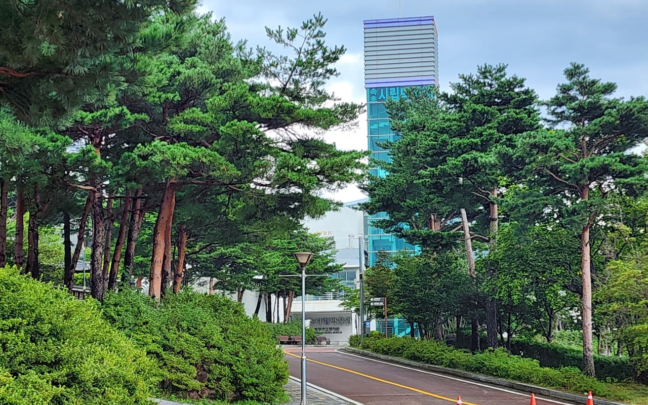 초록나무들 사이로 보이는 시립박물관건물