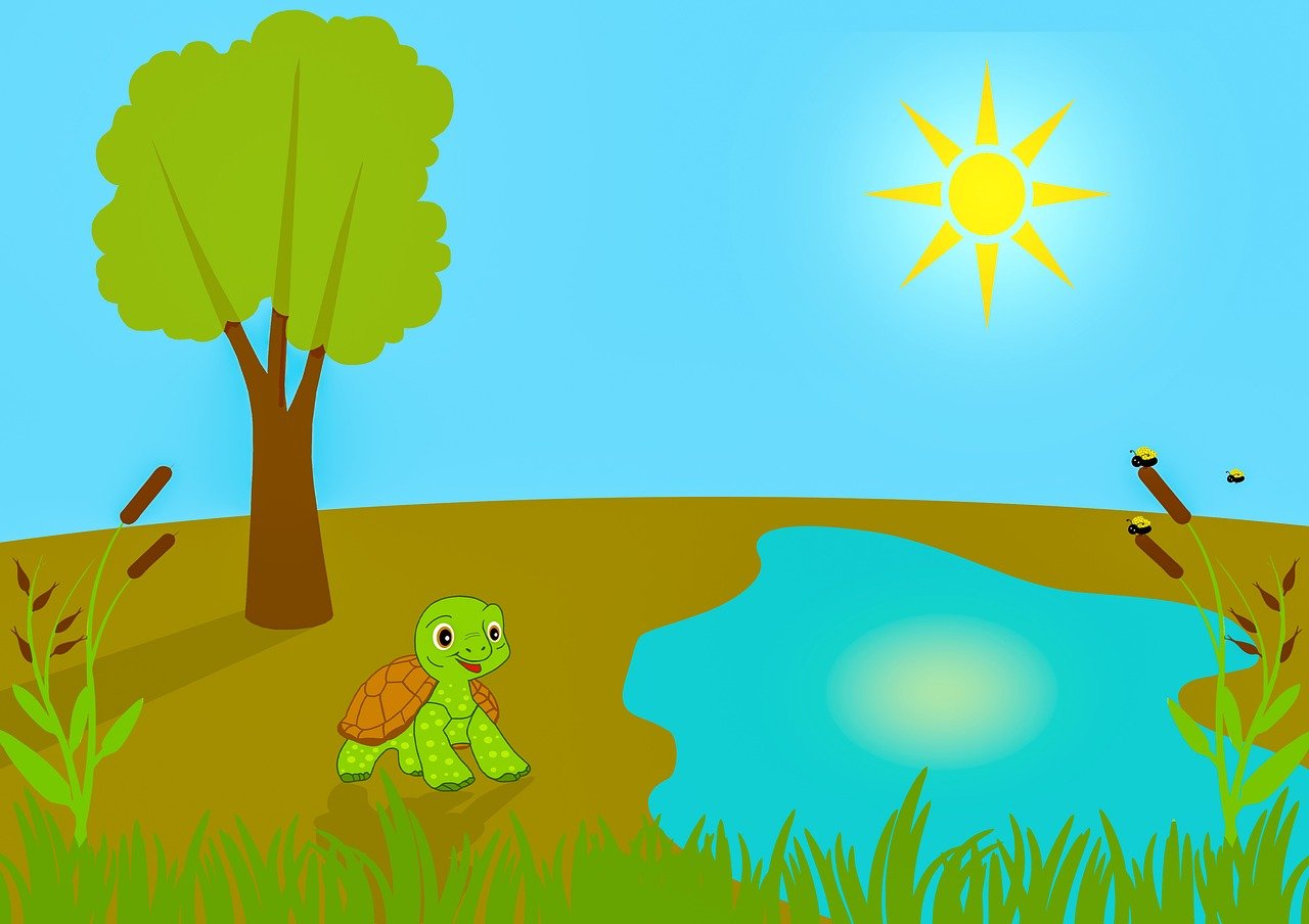 들깨 파종시기 바로 보기 6