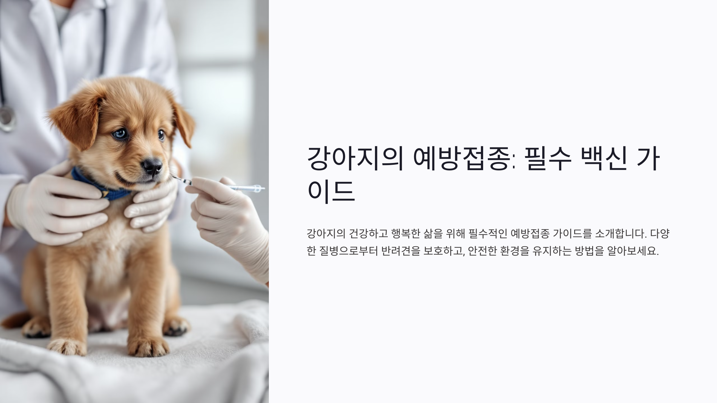 강아지의 예방접종: 필수 백신 가이드
