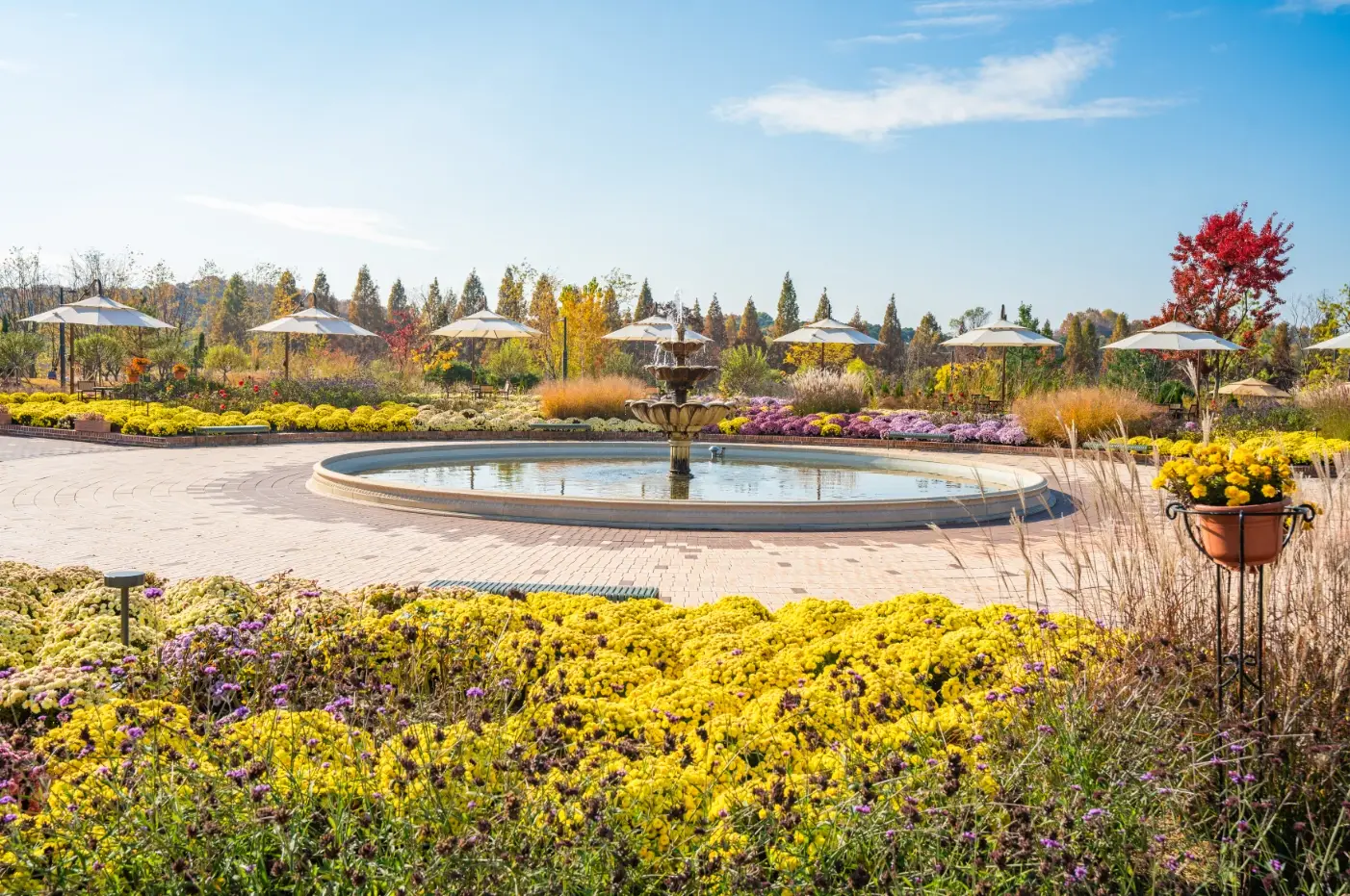 일월수목원-입장료-주차요금-관람시간