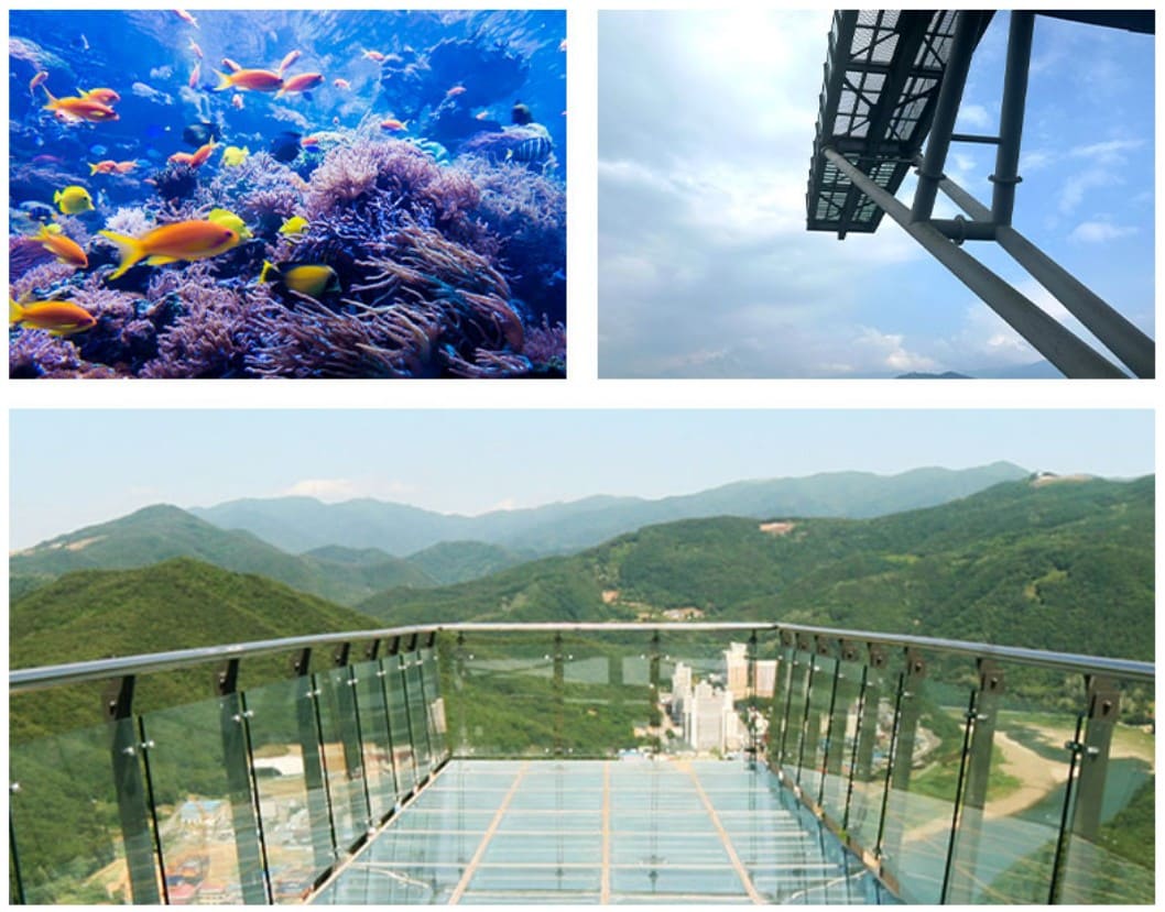 국내기차 효도여행