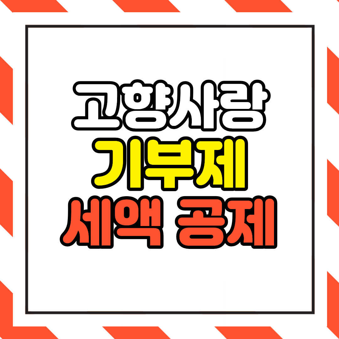 고향사랑기부제 세액공제