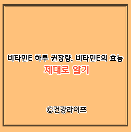 비타민E 하루 권장량&#44; 비타민E의 효능