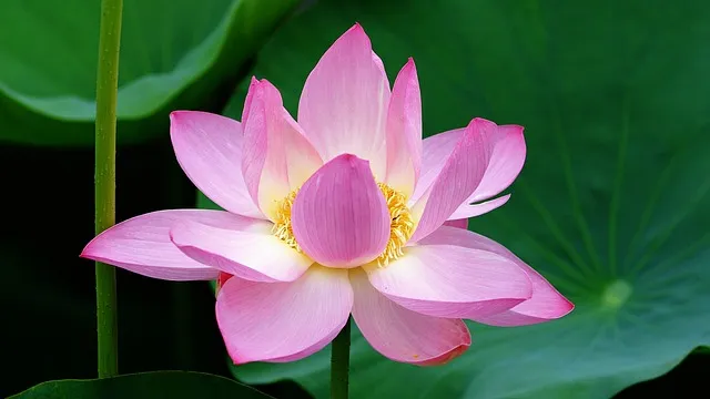 시흥 가볼만한곳 베스트10 현지인 추천 필수코스_3