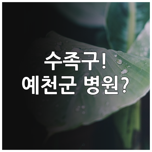 예천군 소아 수족구 대처법 및 병원 ..