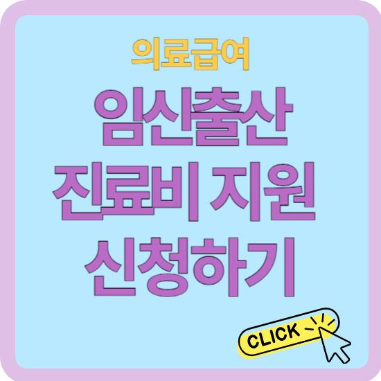 의료급여 임신 출산 진료비 지원