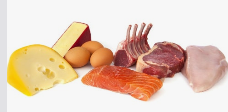 단백질 종류 육류, 두부, 쉐이크