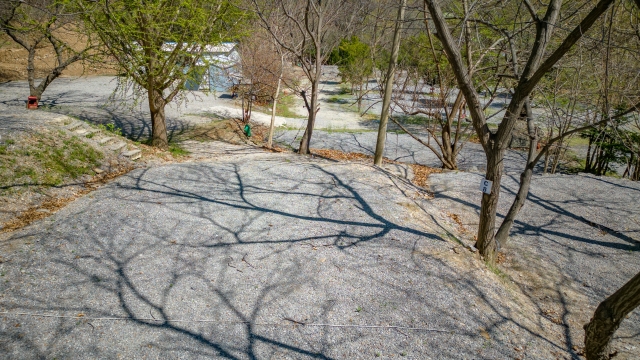 가평 : 밤나무숲 캠핑장 (애견동반가능)