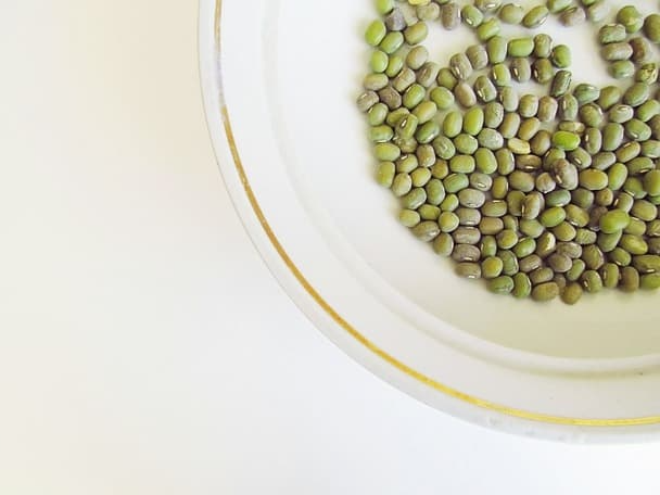 녹두 간 기능 개선에 도움