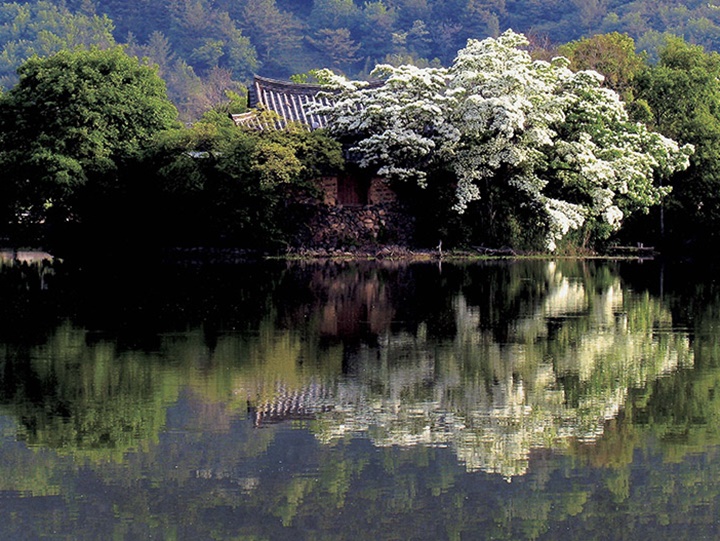 밀양 가볼만한곳