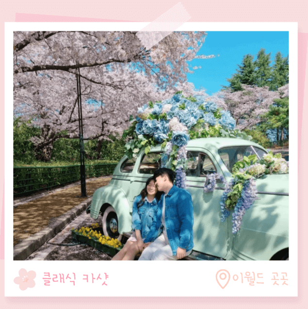 이월드 벚꽃축제 대구