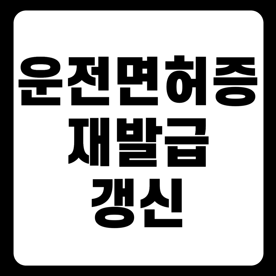 면허취소 재취득 교육 학원 적성검사 한 눈에 보기(+2024)