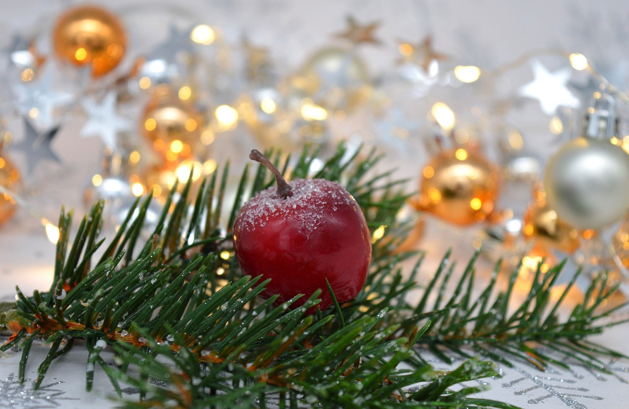 크리스마스트리 대여