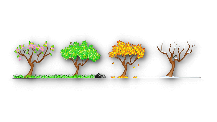 four-seasons-image