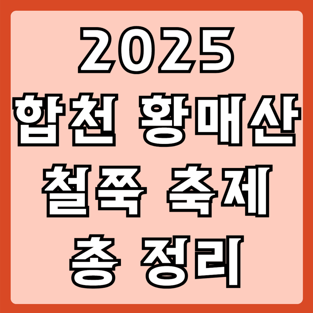 2025 합천 황매산 철쭉 축제 총 정리