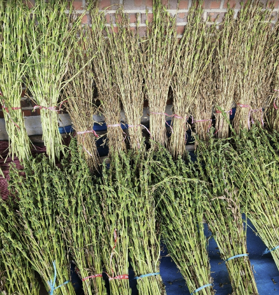 Alt 속성 문제 해결 설명 이미지