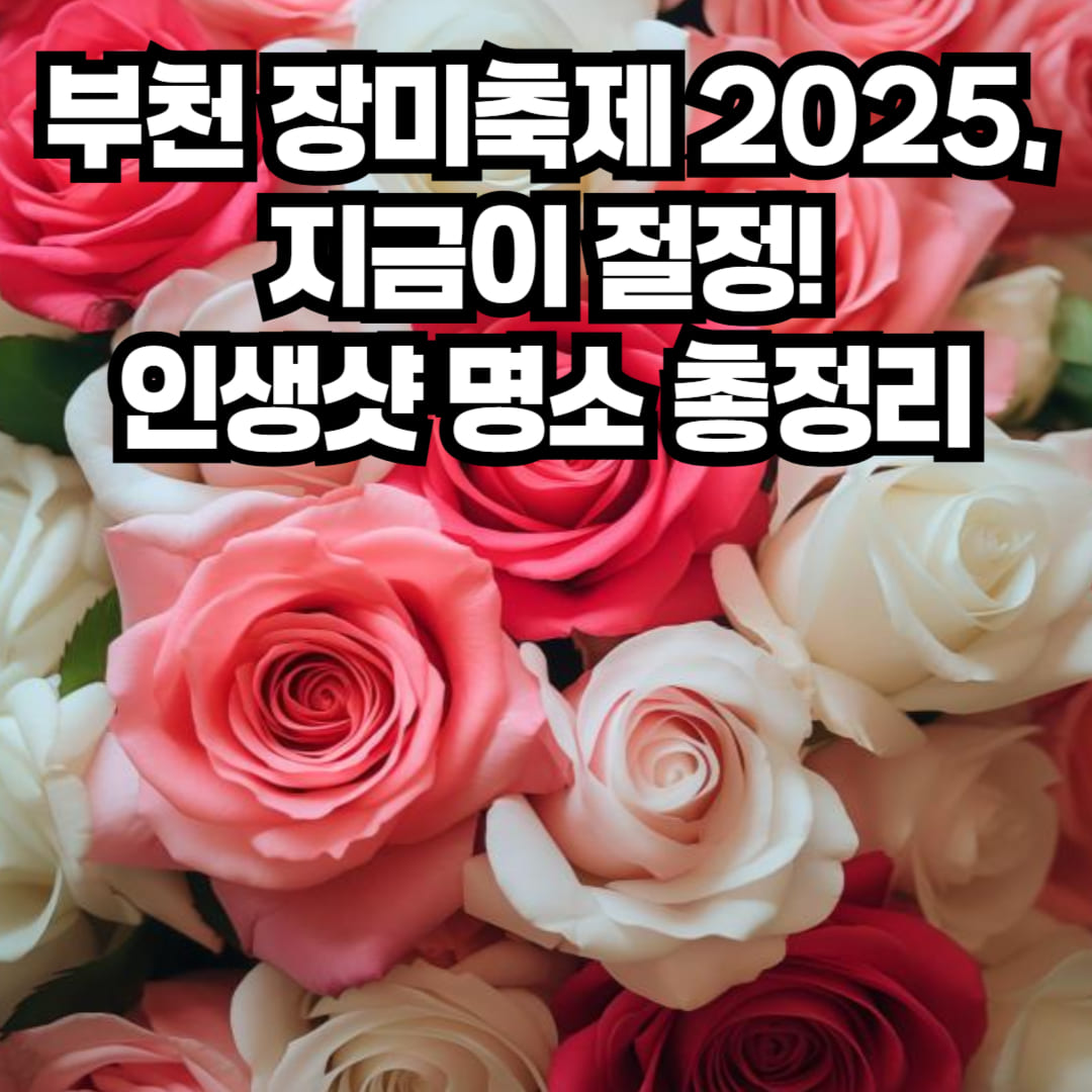 부천 장미축제 2025 인생샷 명소 총정리