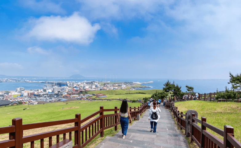 제주도 비행기 결항시 대처 방법 (실제 후기)