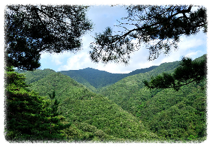복계산