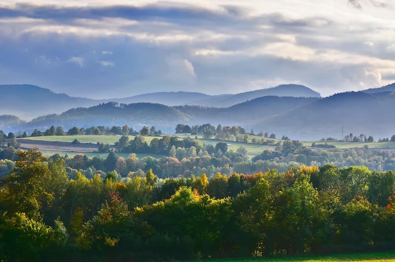 농부 커뮤니티와 스마트팜 정보 공유 문화의 진화