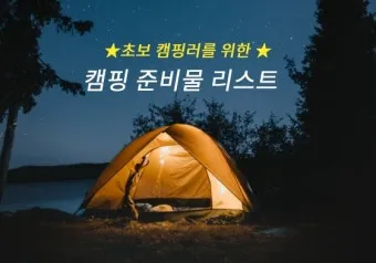 캠핑 초보를 위한 꼬치구이 레시피 및 조리법 정리_5