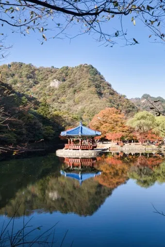 내장산 단풍터널 드라이브 코스 주차장 위치까지 총정리_22