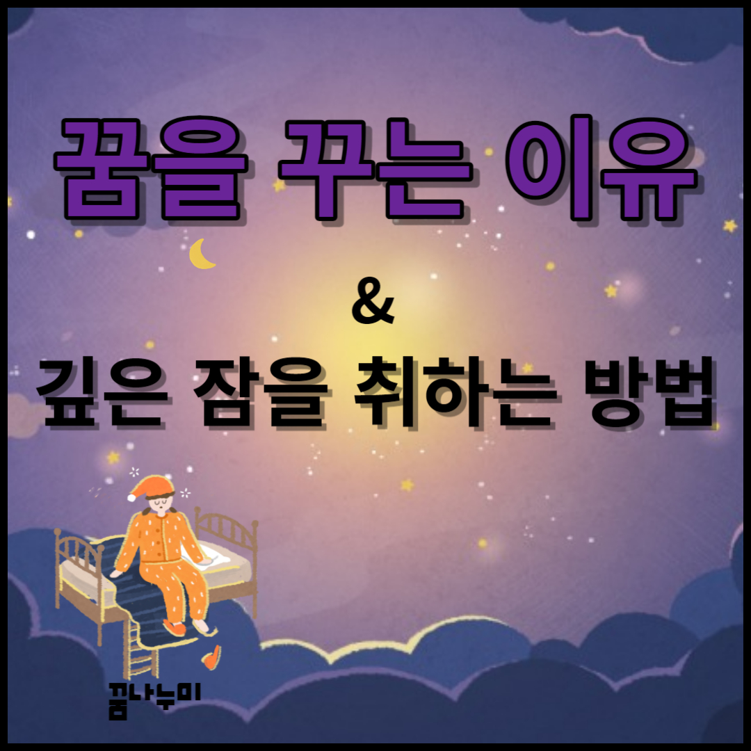 꿈을 꾸는 이유